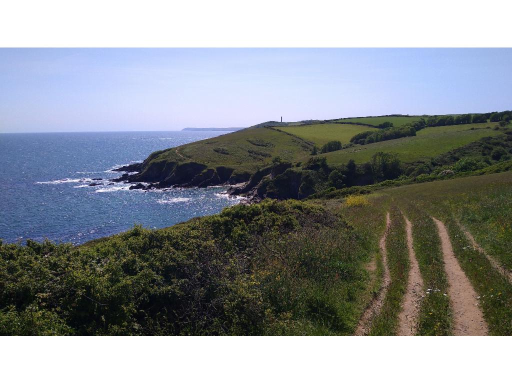 Towards Gribbin Head