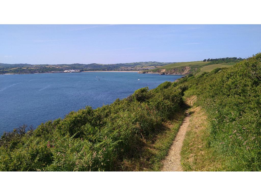 Path towards Polkerris and Par