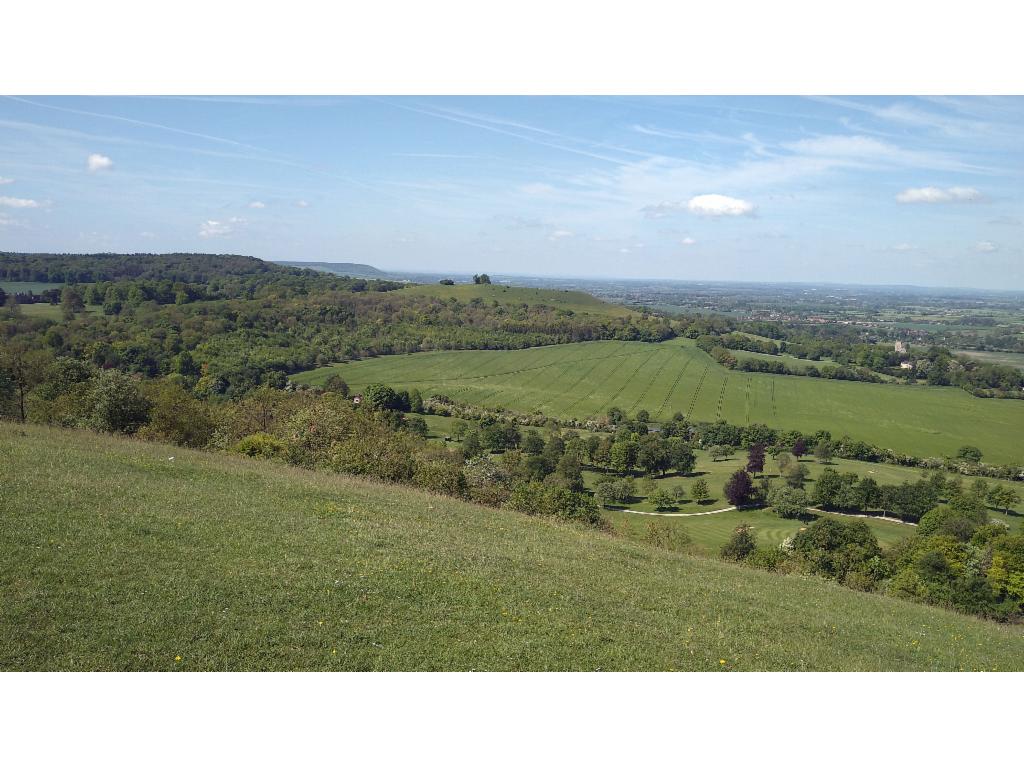 View from Coombe Hill towards the west