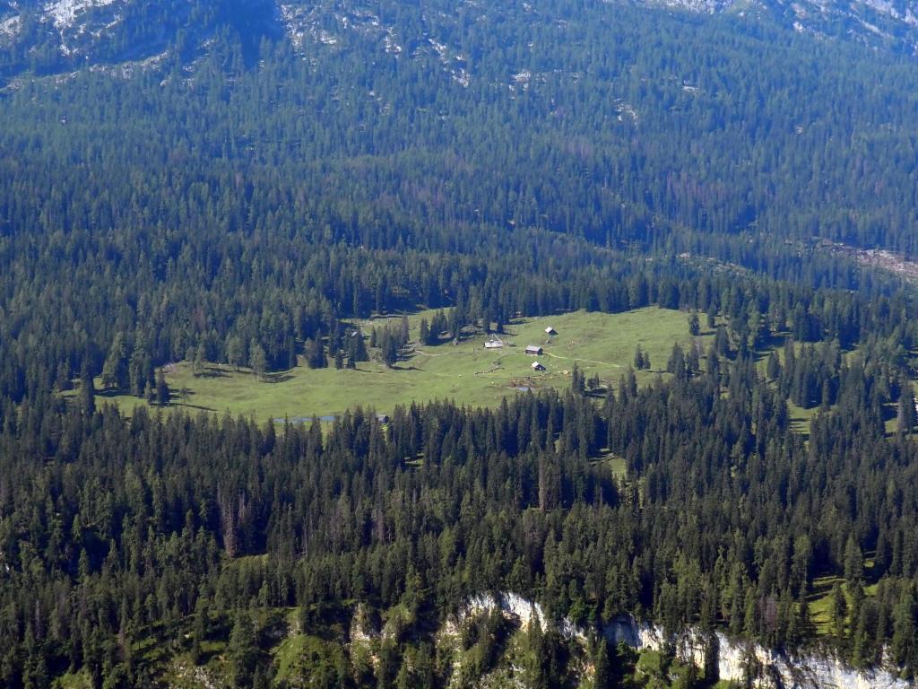 Plankensteinalm