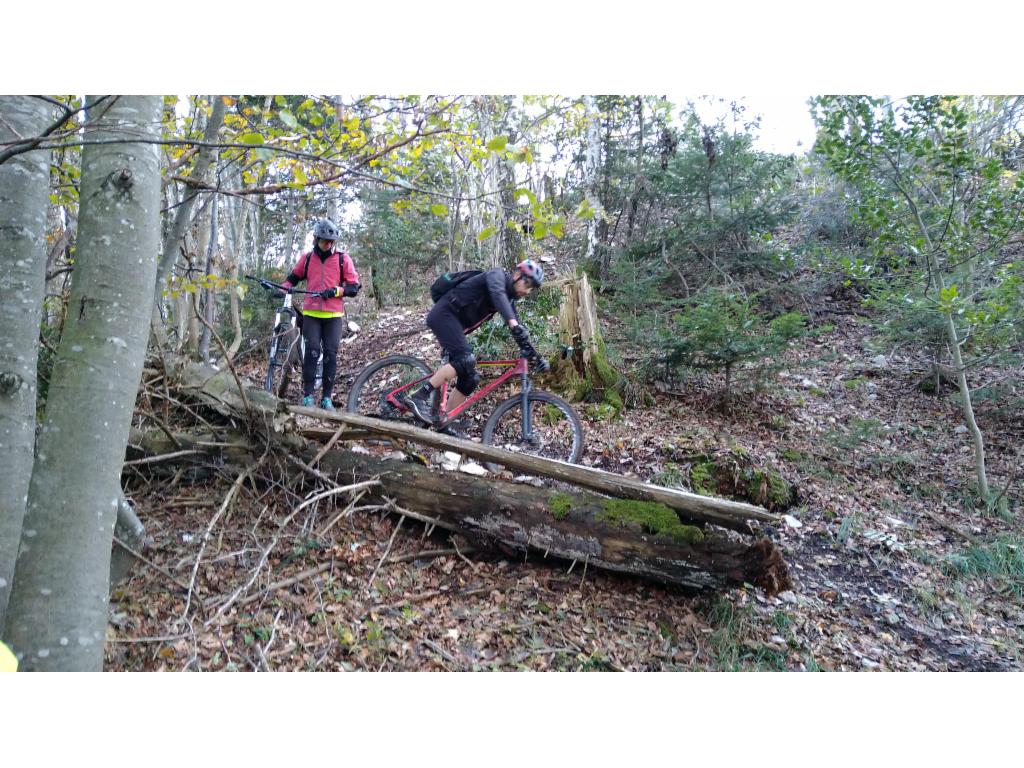 Descente sur la croupe boisée