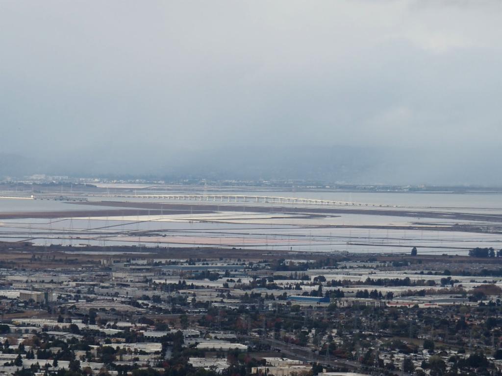 Dumbarton Bridge