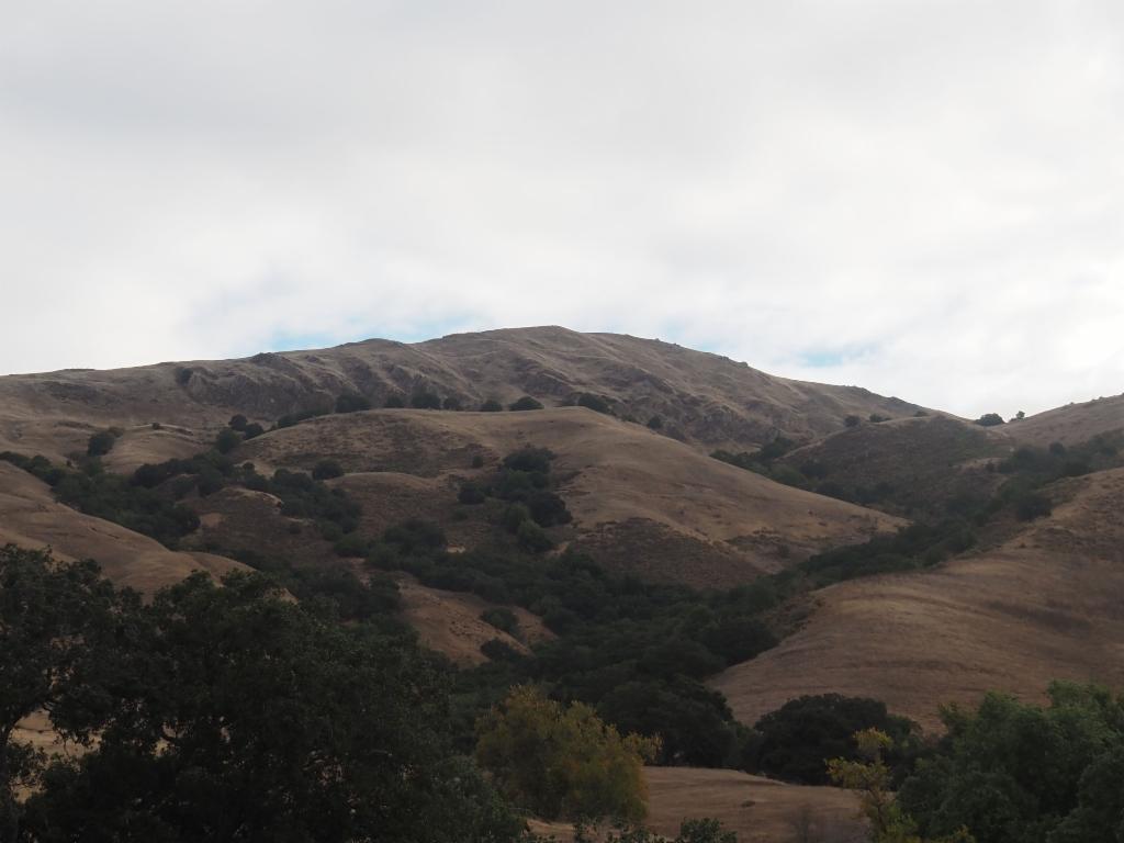 Mission Peak from the parking