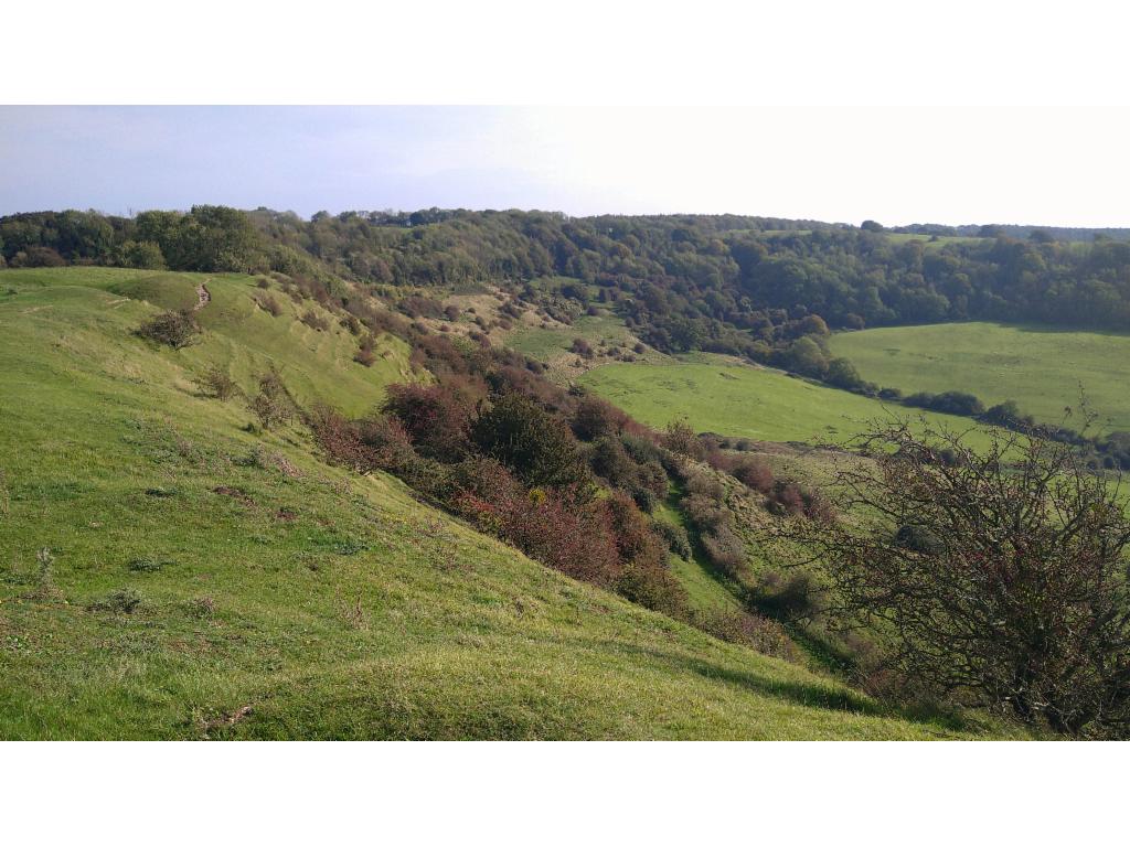 View from Haresfield Beacon to the combe below