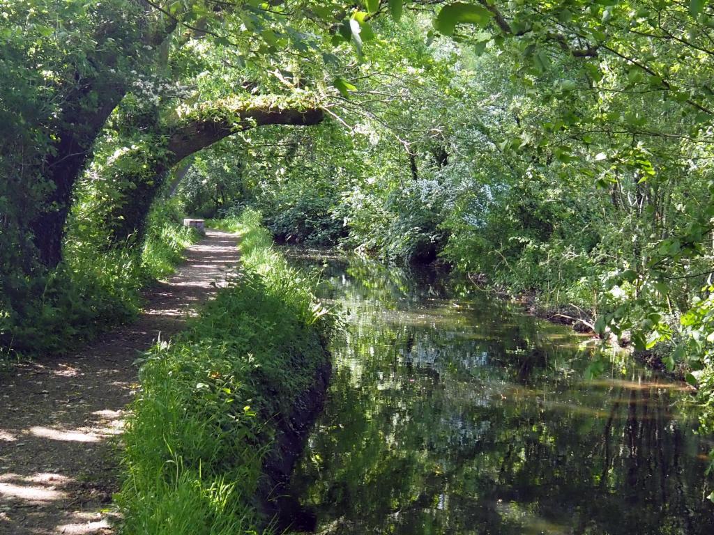 Tavistock Canal