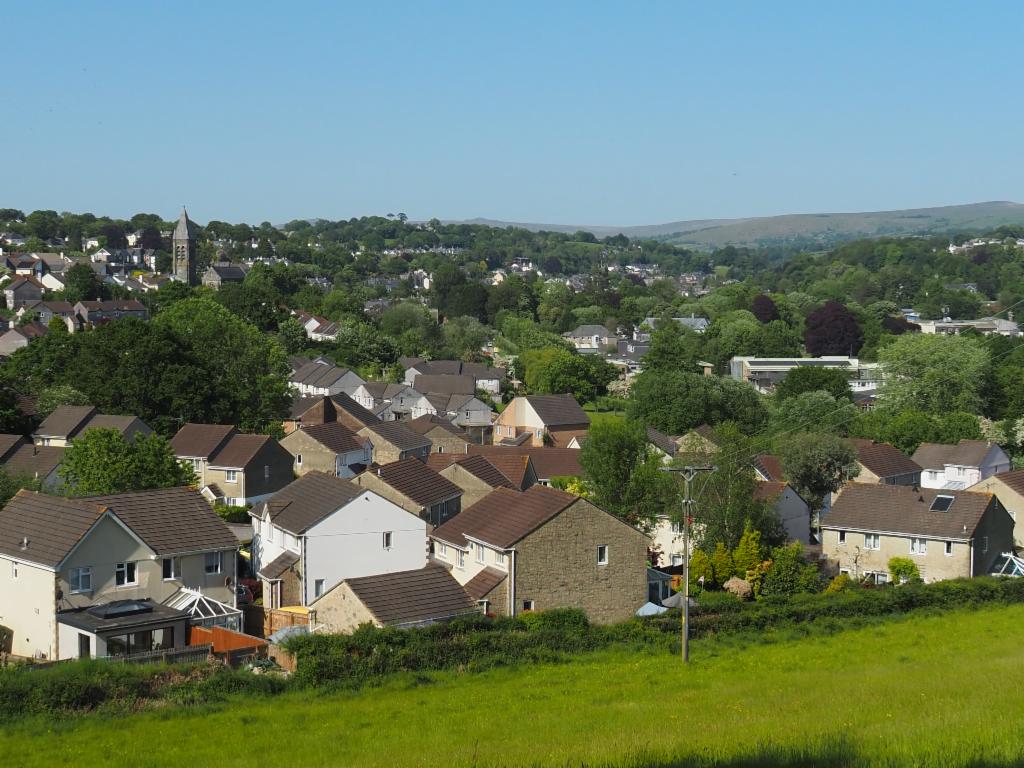 View over Tavistock
