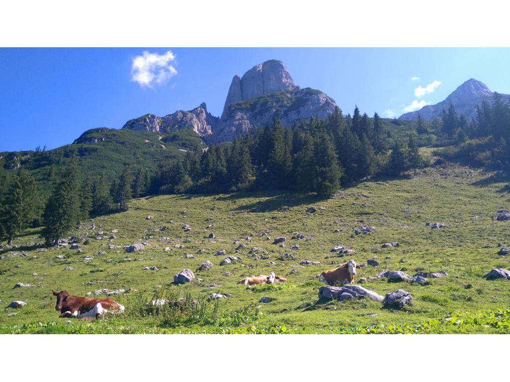 Angerstein von der Stuhlalm