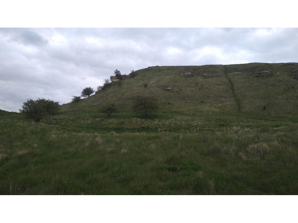 Escarpment leading to the plateau