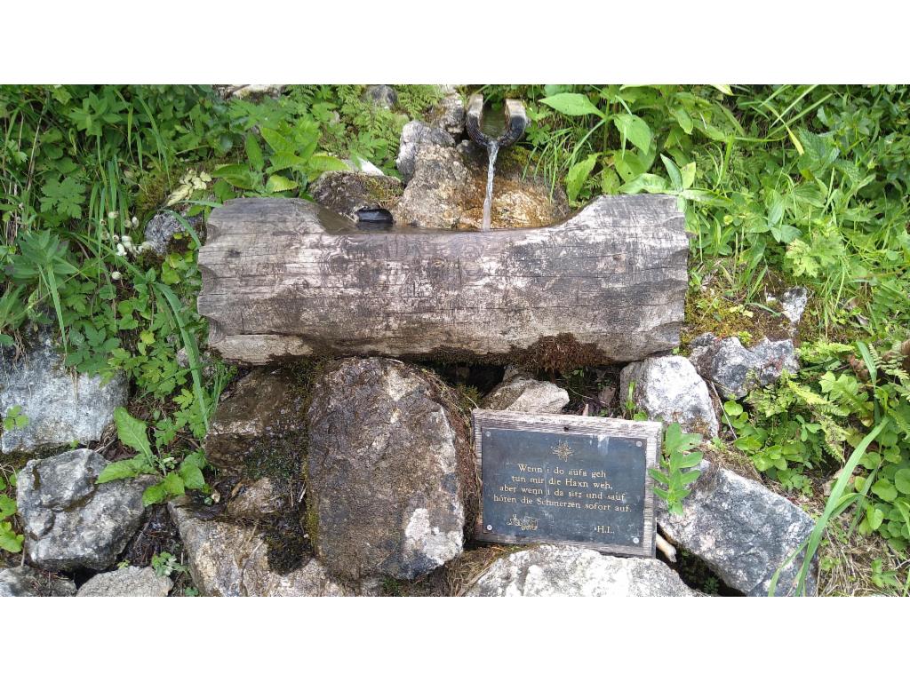 Dichterinquelle im Abstieg von der Goiserer Hütte