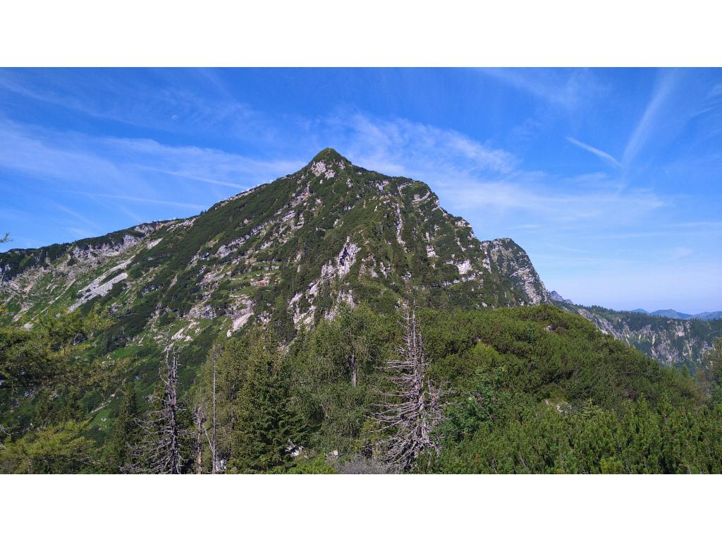 Niederer Kalmberg