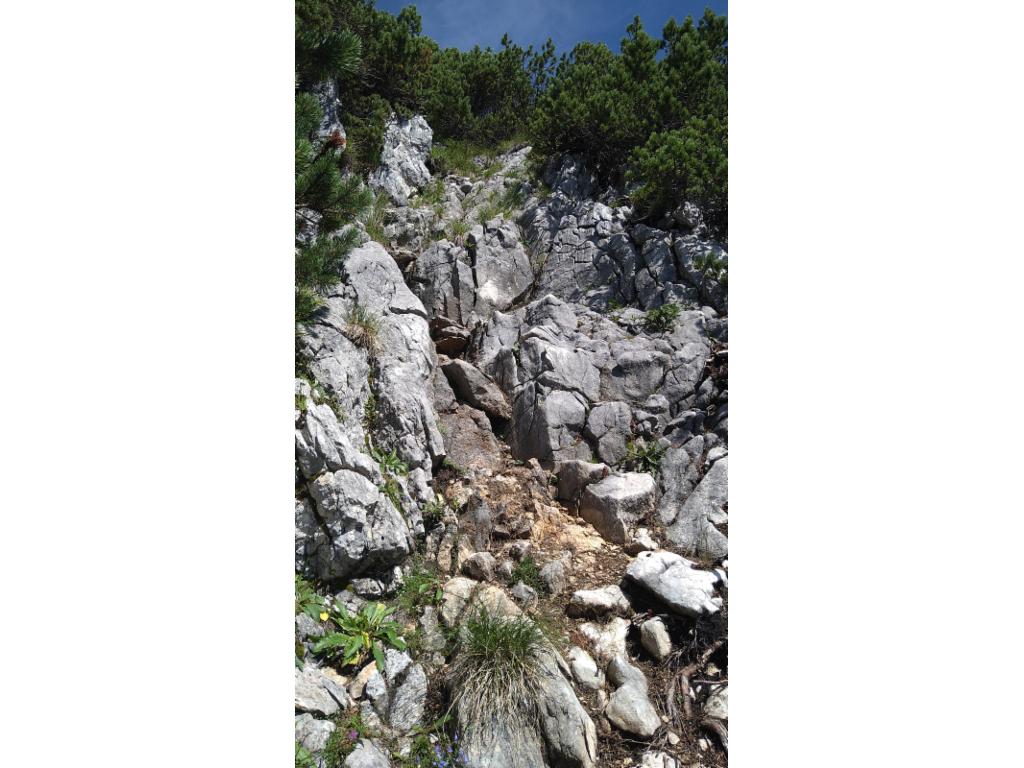 Eine Ier Latschenschlucht im Aufstieg zum Niederen Kalmberg