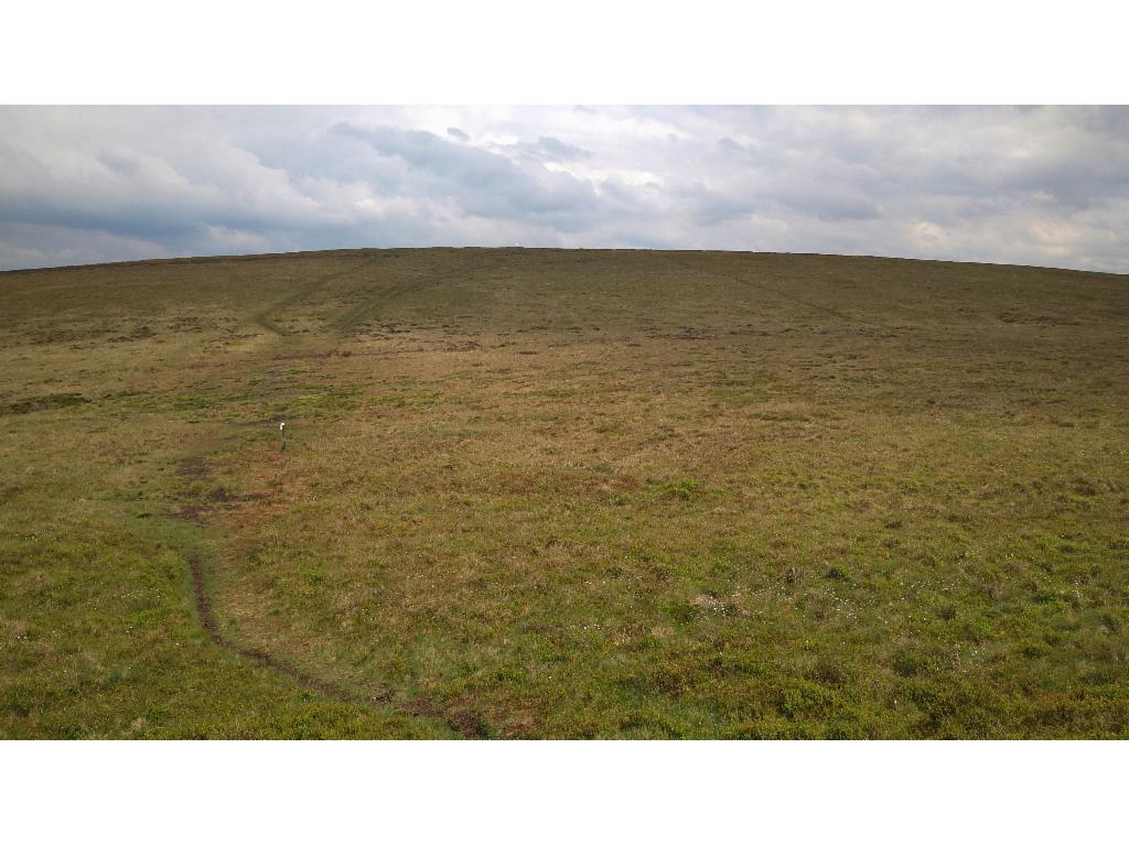 Axe Edge Moor