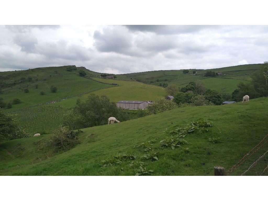 Pastures from Back Oth Cross towards Oliver Hill