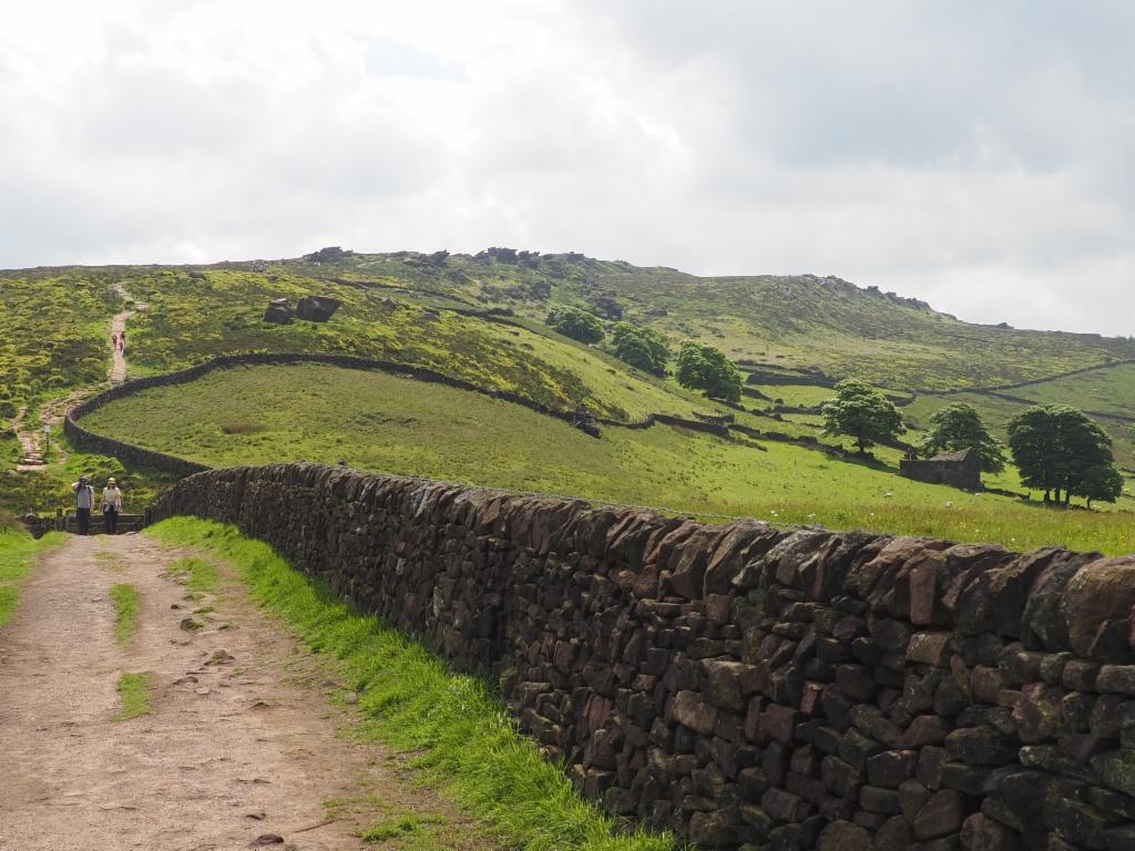The Roaches from Roach End