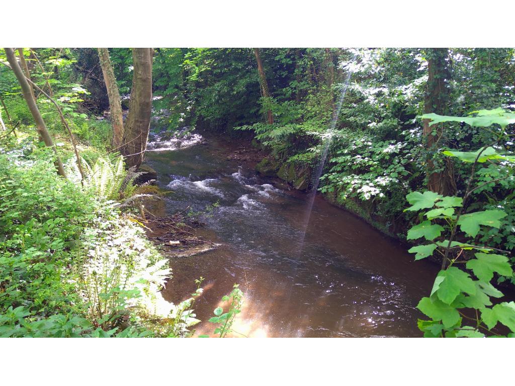 Afon Gafenni
