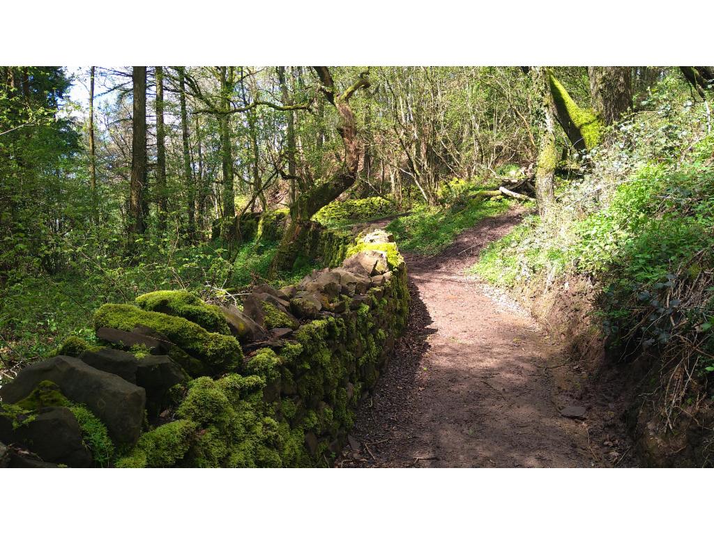 Beginning of the path along the western slopes