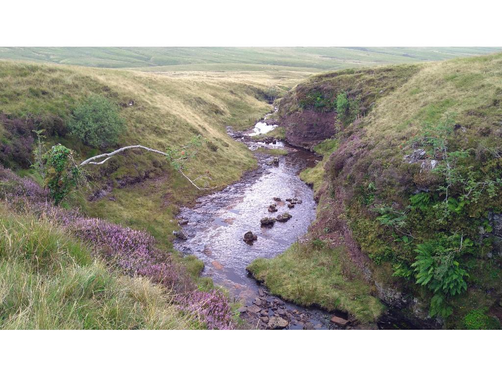 BreconBeacons FanDringarth Afon1