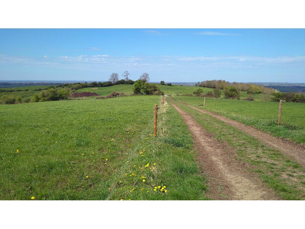 View from Quainton Hill back to Conduit Hill