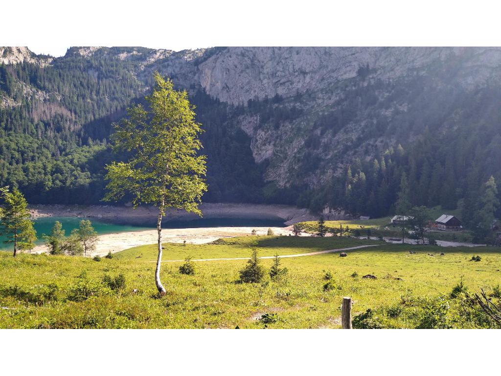 Hohe Holzmeisteralm am Hinteren Gosausee