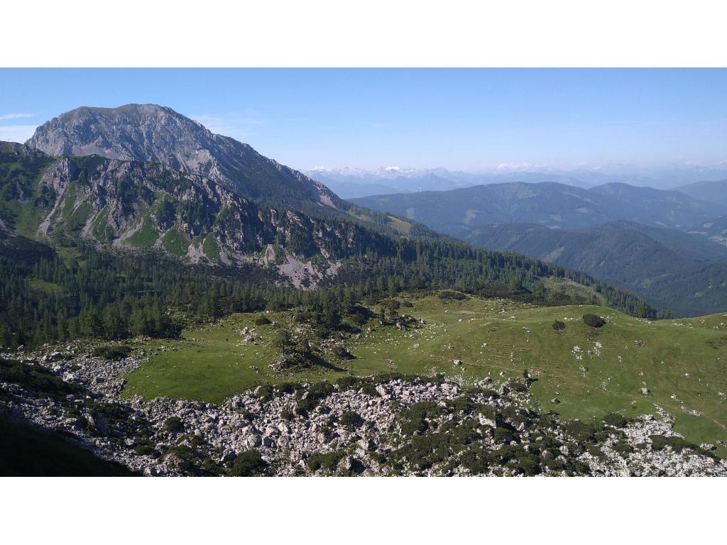 Rötelstein und Rinderfeld