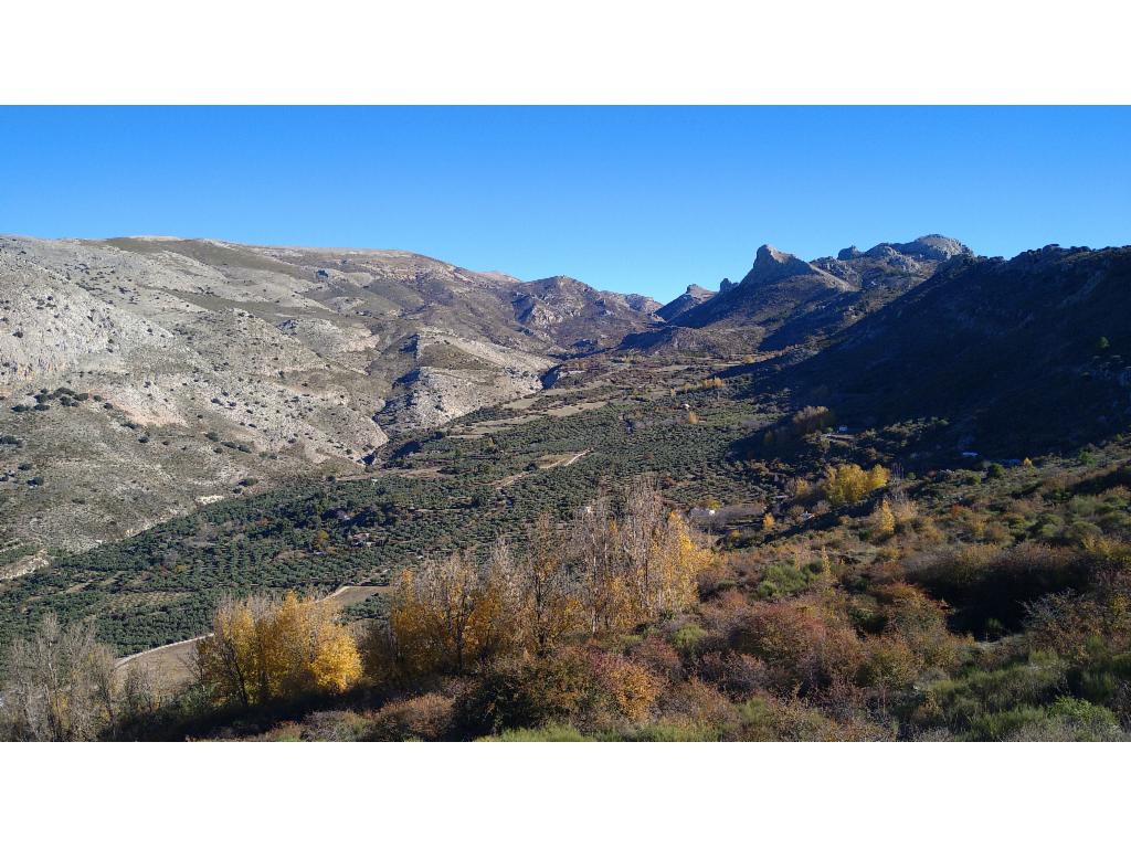 Tal des R&iacute;o Blanco, links der Pe&ntilde;&oacute;n del Jorobado