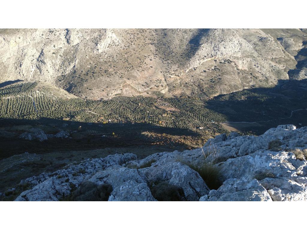 Blick tief hinunter in das Tal des Río Blanco