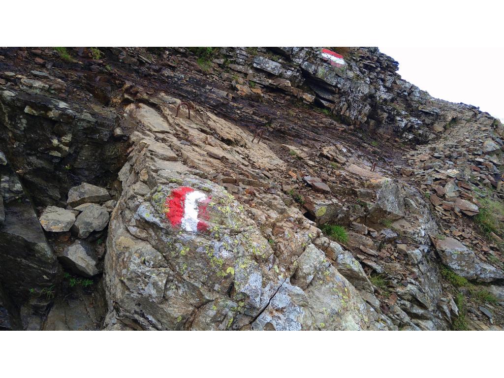 Glitschige Querung kurz vor der Gollingscharte