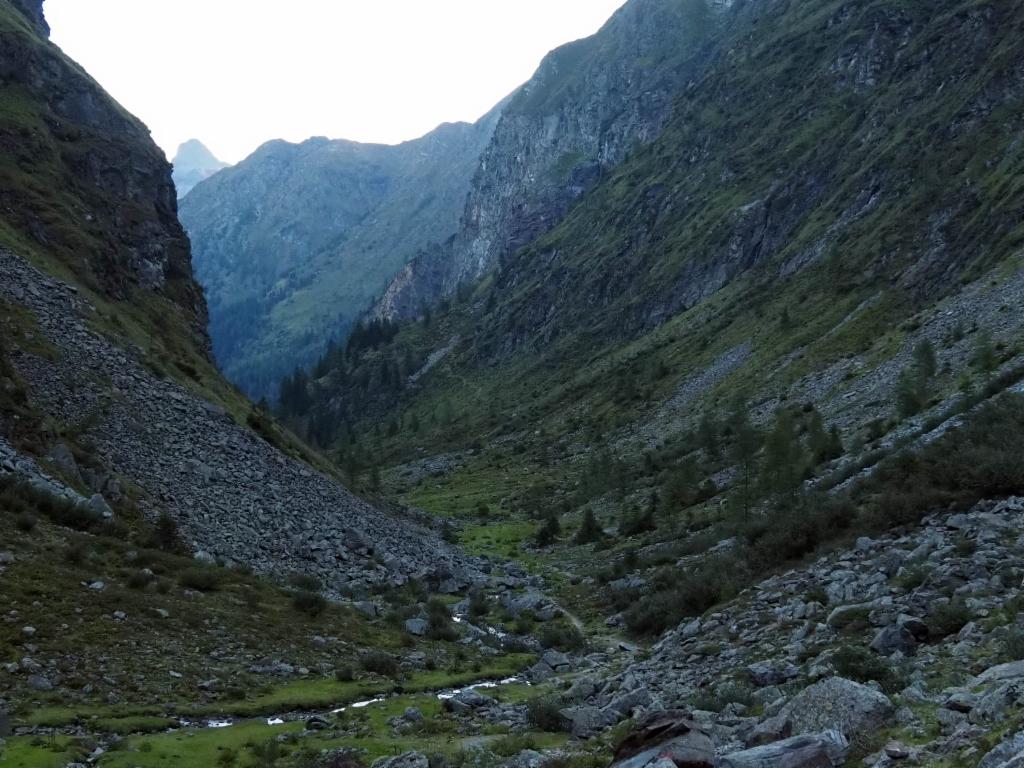Blick talauswärts vom Gollingwinkel