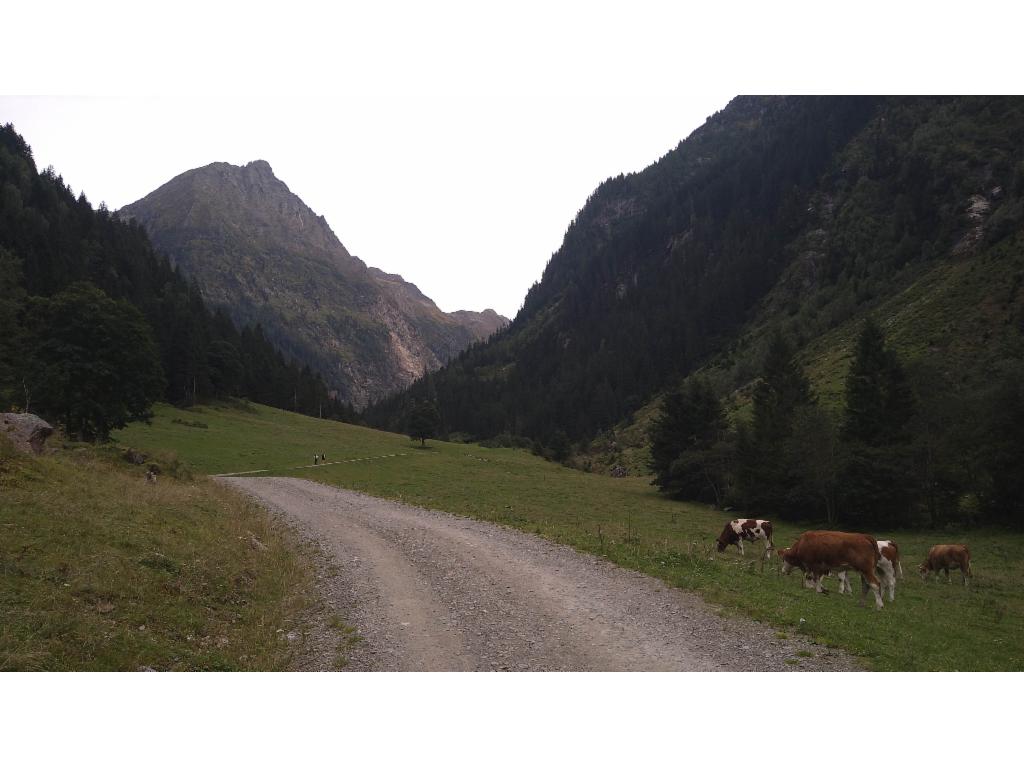 Greifenberg von der Unteren Steinwenderalm
