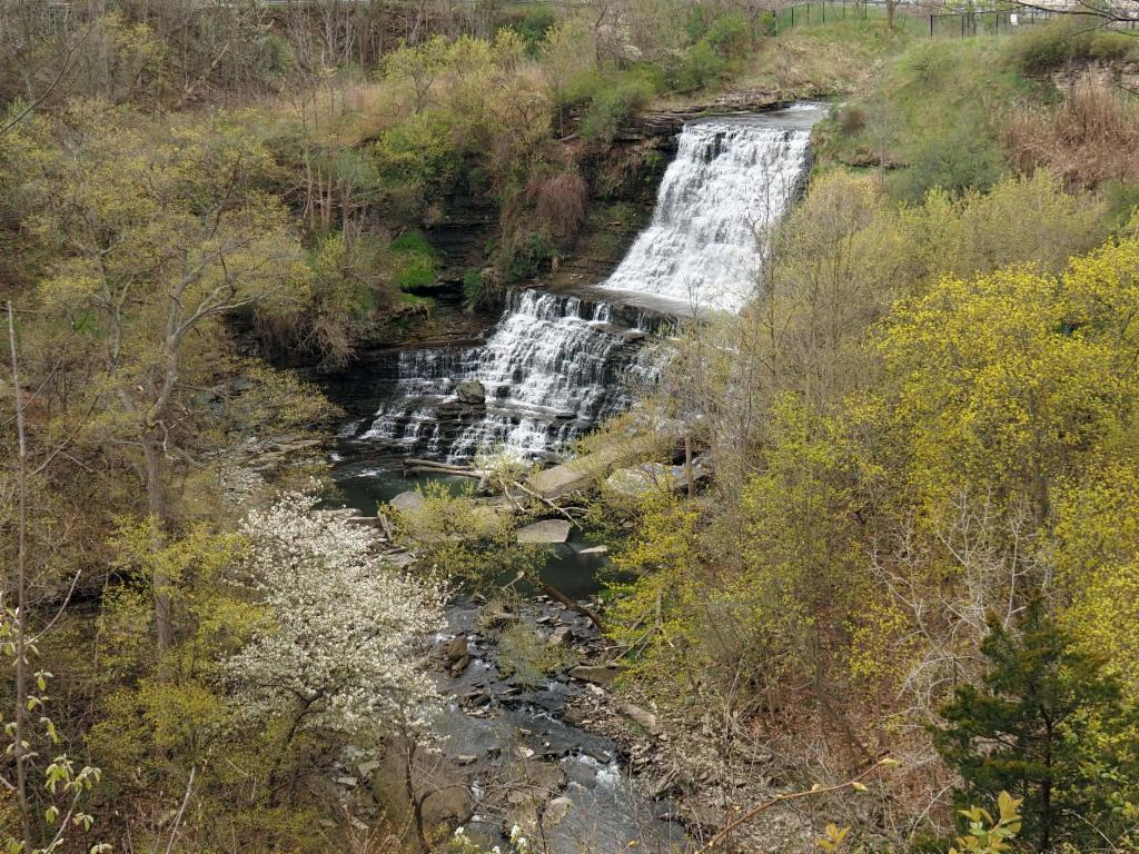 Albion Falls