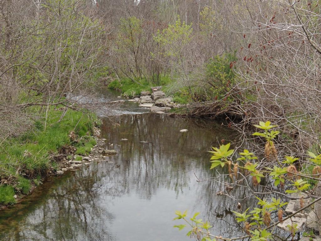 Redhill Creek