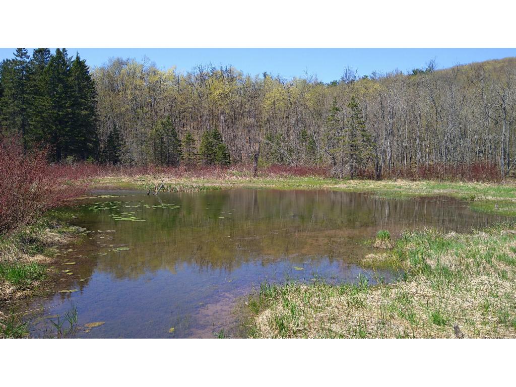Little lake