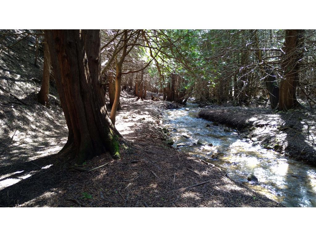 Pretty River flowing in the dark forest