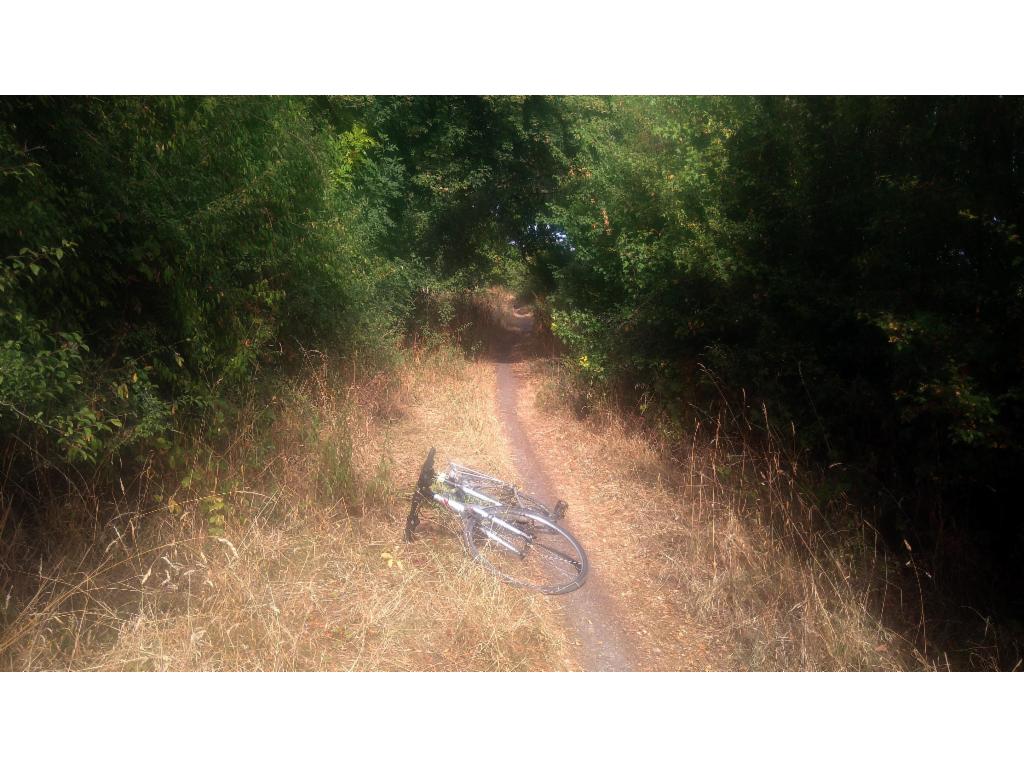 Path near Chelmarsh Reservoir