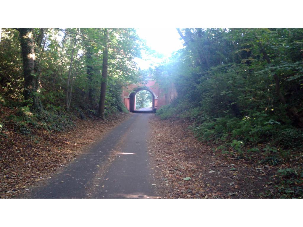 On the Silkin Way in Telford