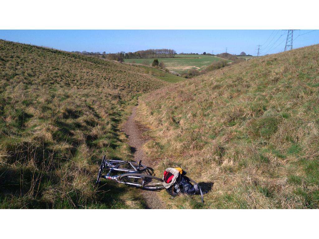 Former tarmacked road to Litchfield Down, now almost completely retaken by nature