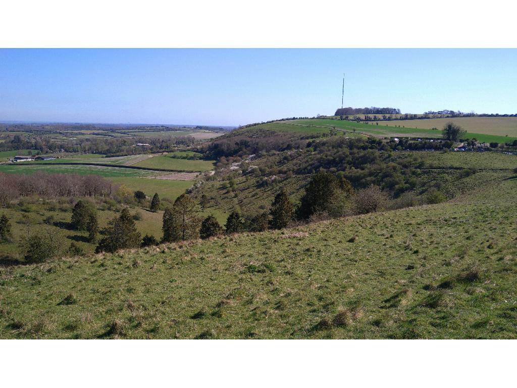 Cottington's Hill from the descent from Watership Down