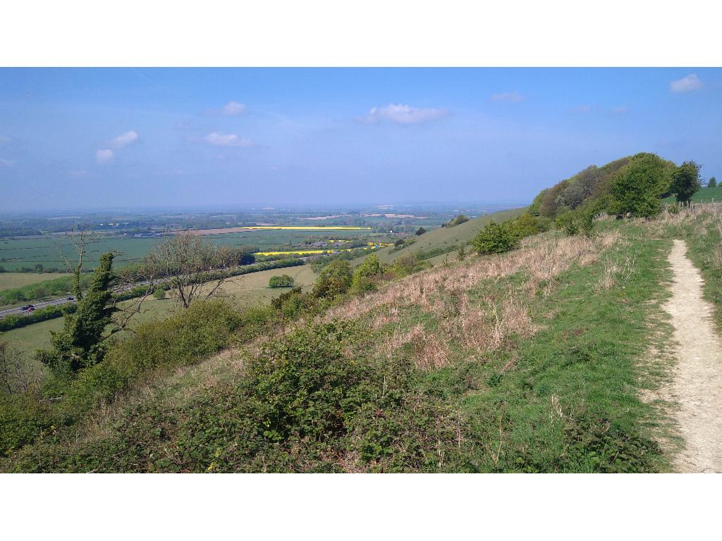 M40 motorway from Beacon Hill