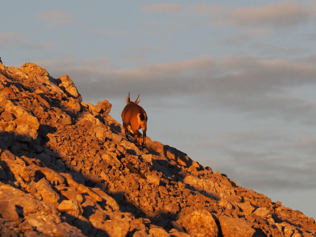 Da ist auch eine aufgewacht...